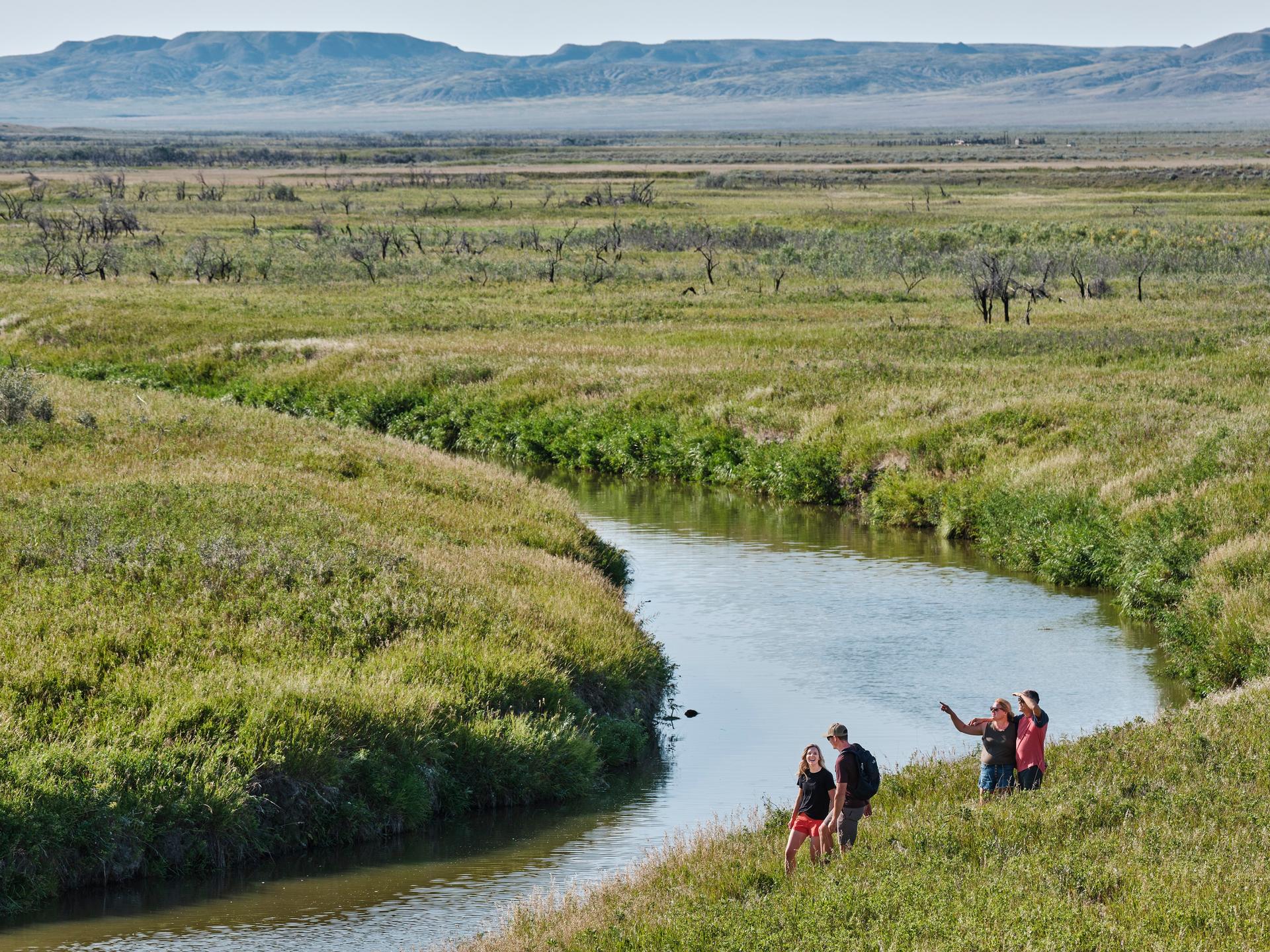 river in grasslands