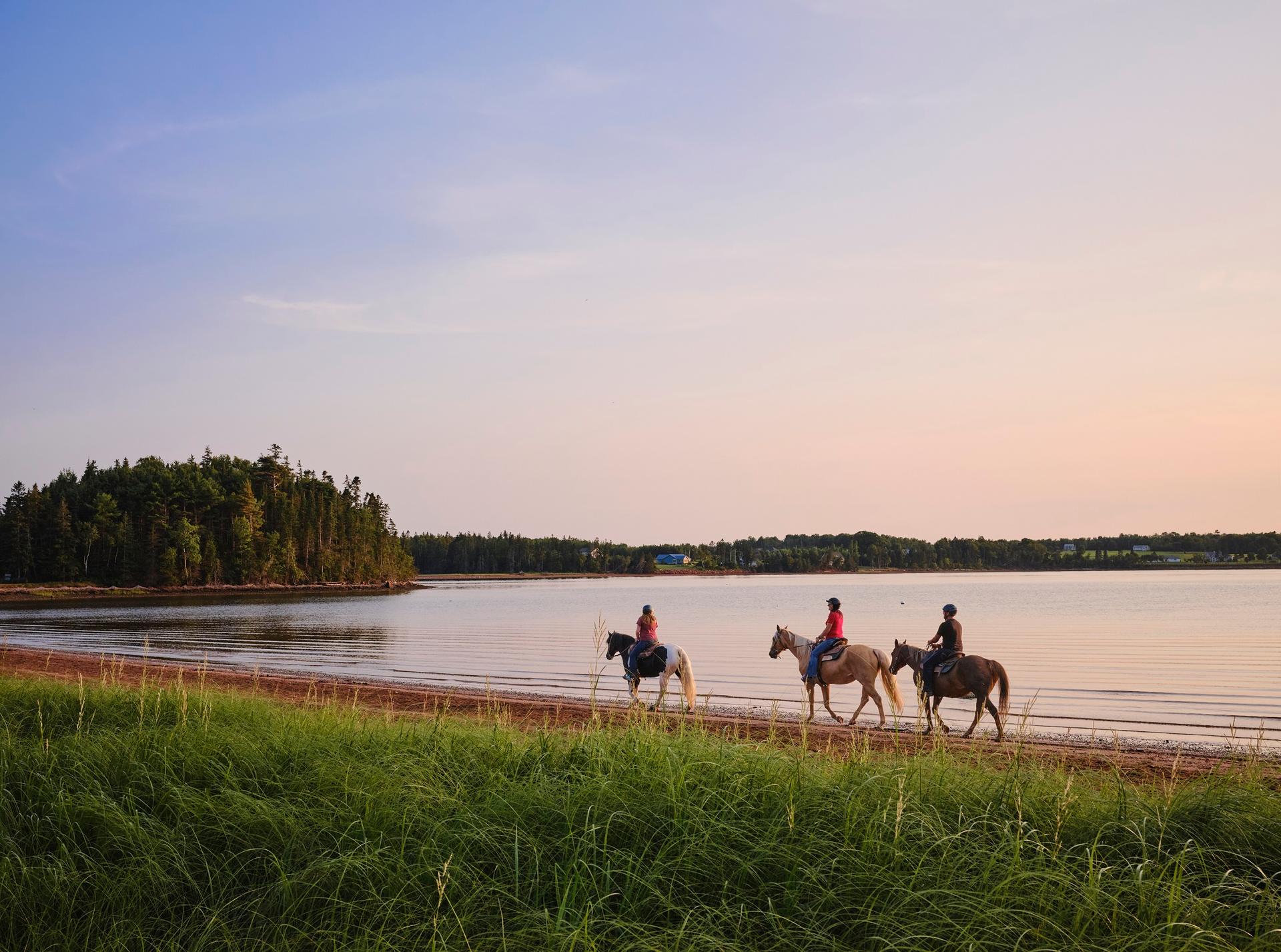 Horseback riding on a beach